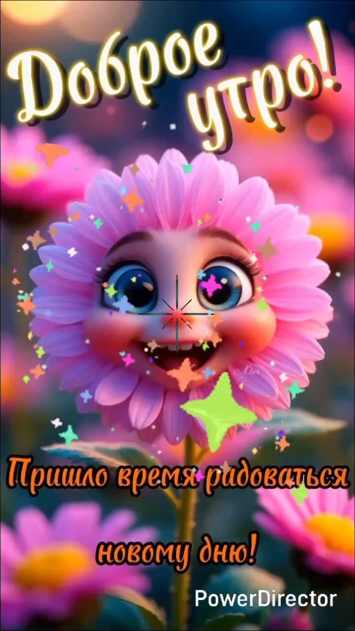 @user25256083356