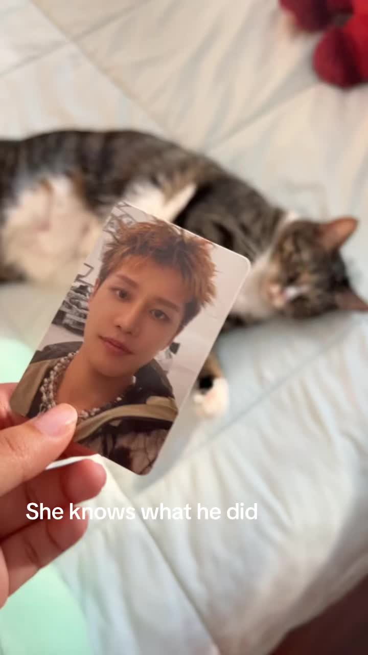 @Sailorjessy