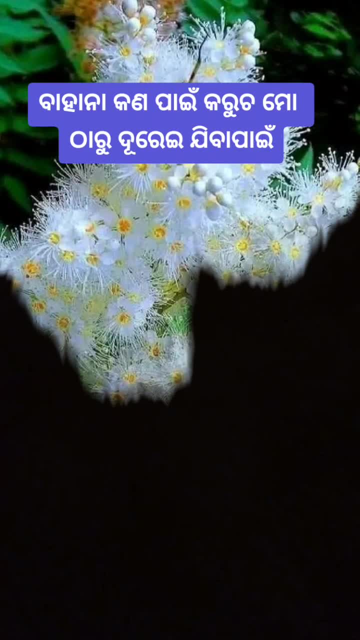 @s-a--d boy Ranjan