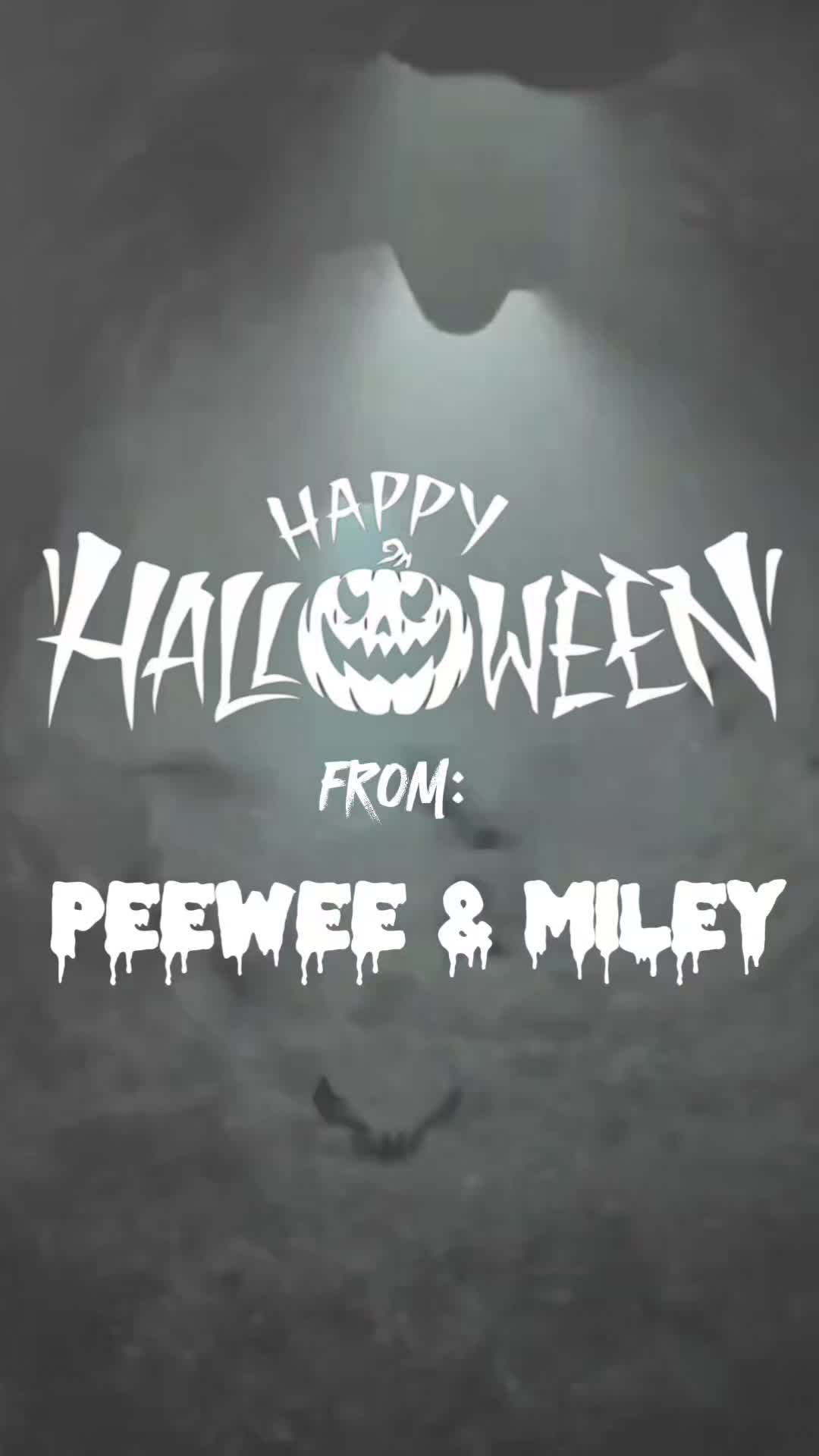@peeweeandmiley