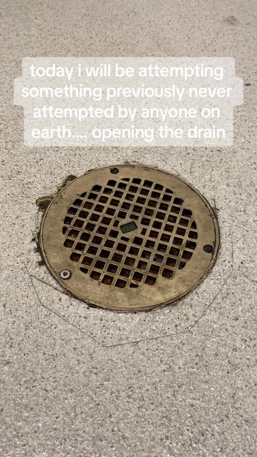 @🦐
