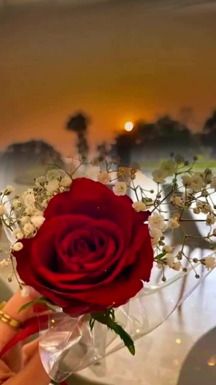 @🌼حياتي اجمل بذكر الله 🌼