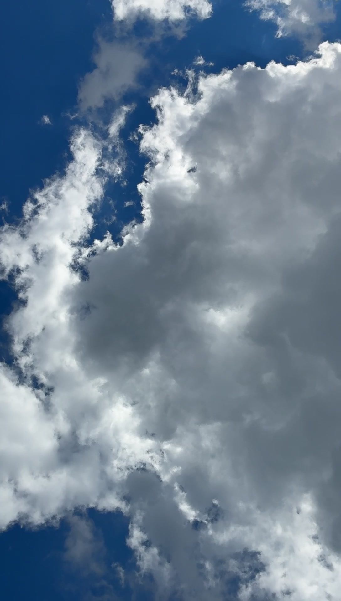 @twin 🤩🚀👽🌤️🔭🧐💙🩵🧪