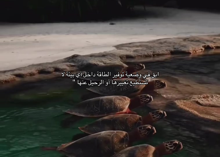 @𝙴𝟽➿
