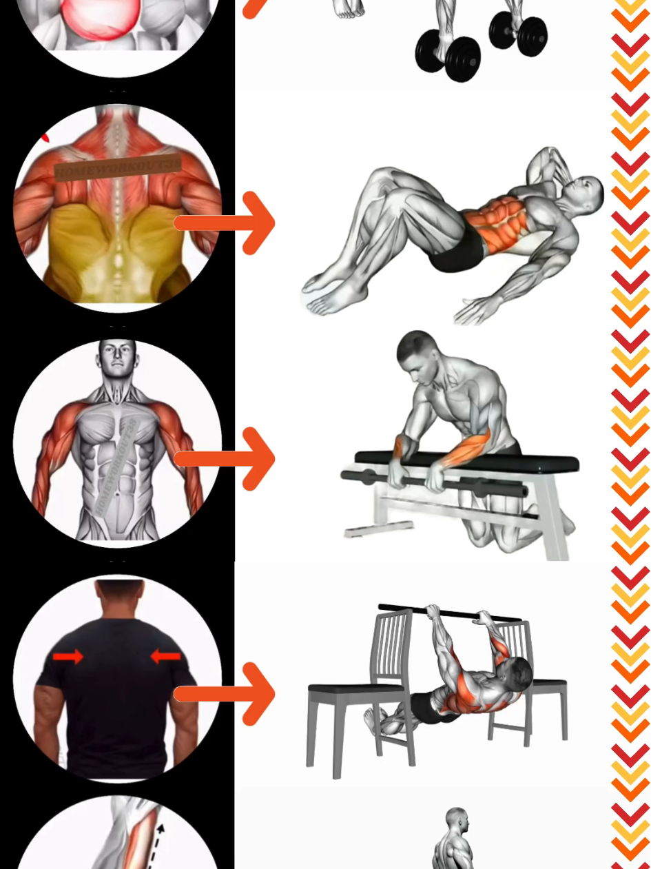 @HOMEWORKOUT