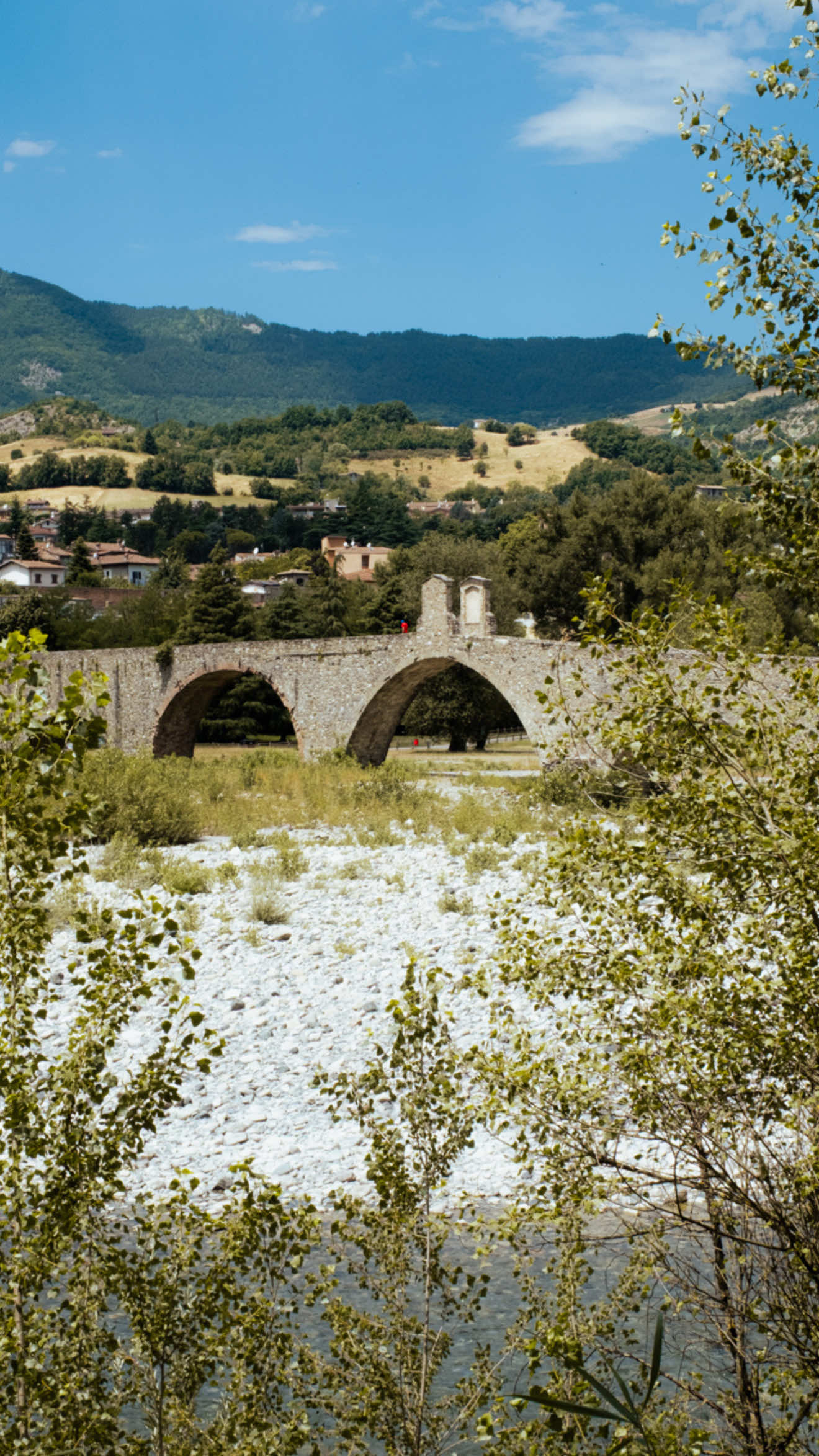 @Casearia Serafini