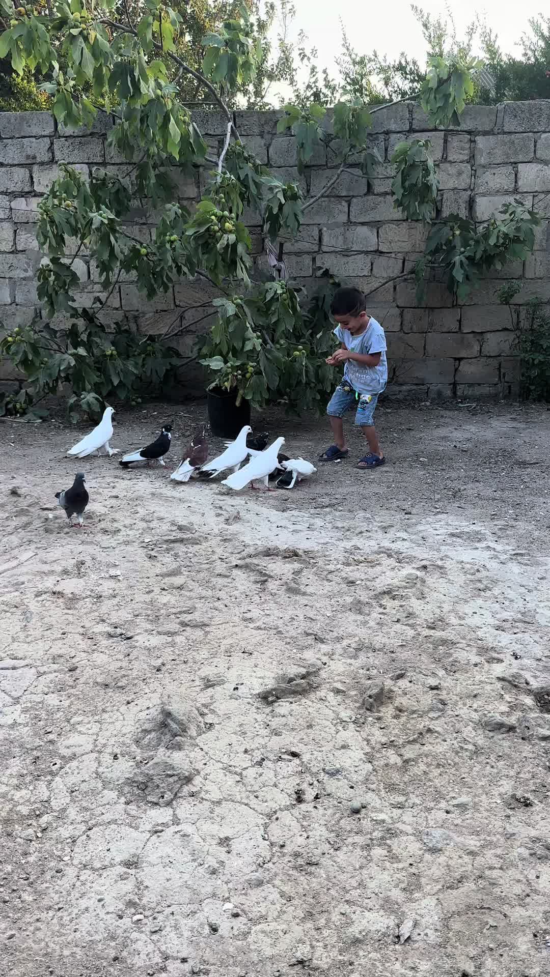 @𝑺𝒖𝒃𝒉𝒂𝒏 𝑪𝒂𝒃𝒃𝒂𝒓𝒐𝒗