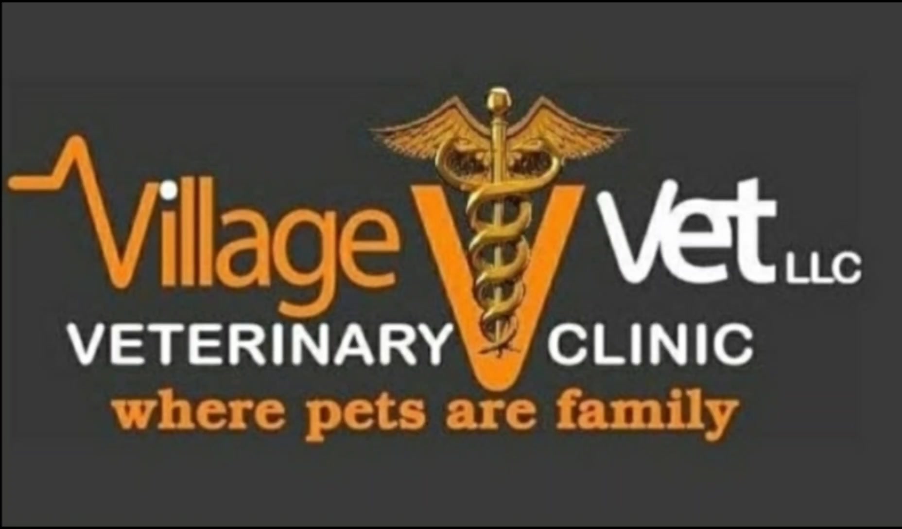 @VillagevVet LLC