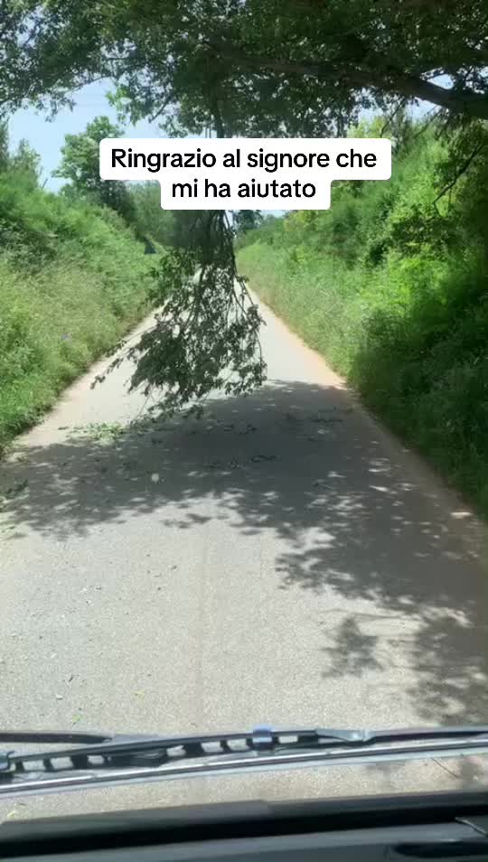 @Consiglio