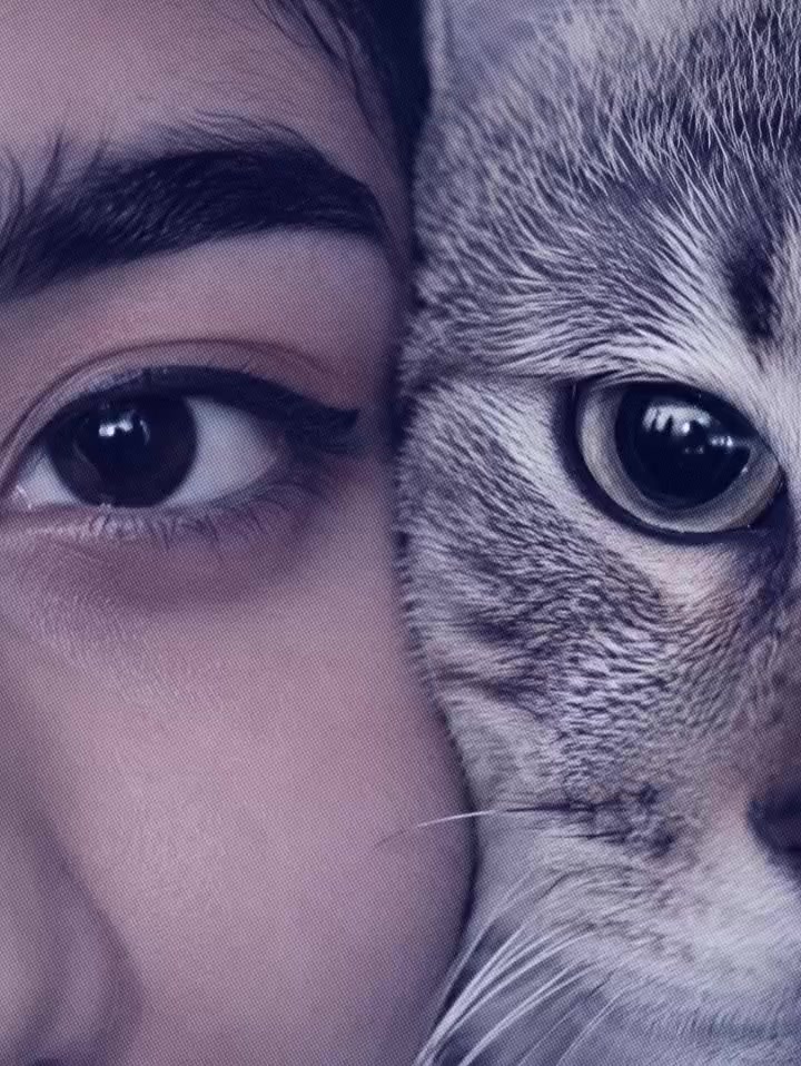 @𐙚𝐊𝐡𝐚𝐝𝐢𝐣𝐚