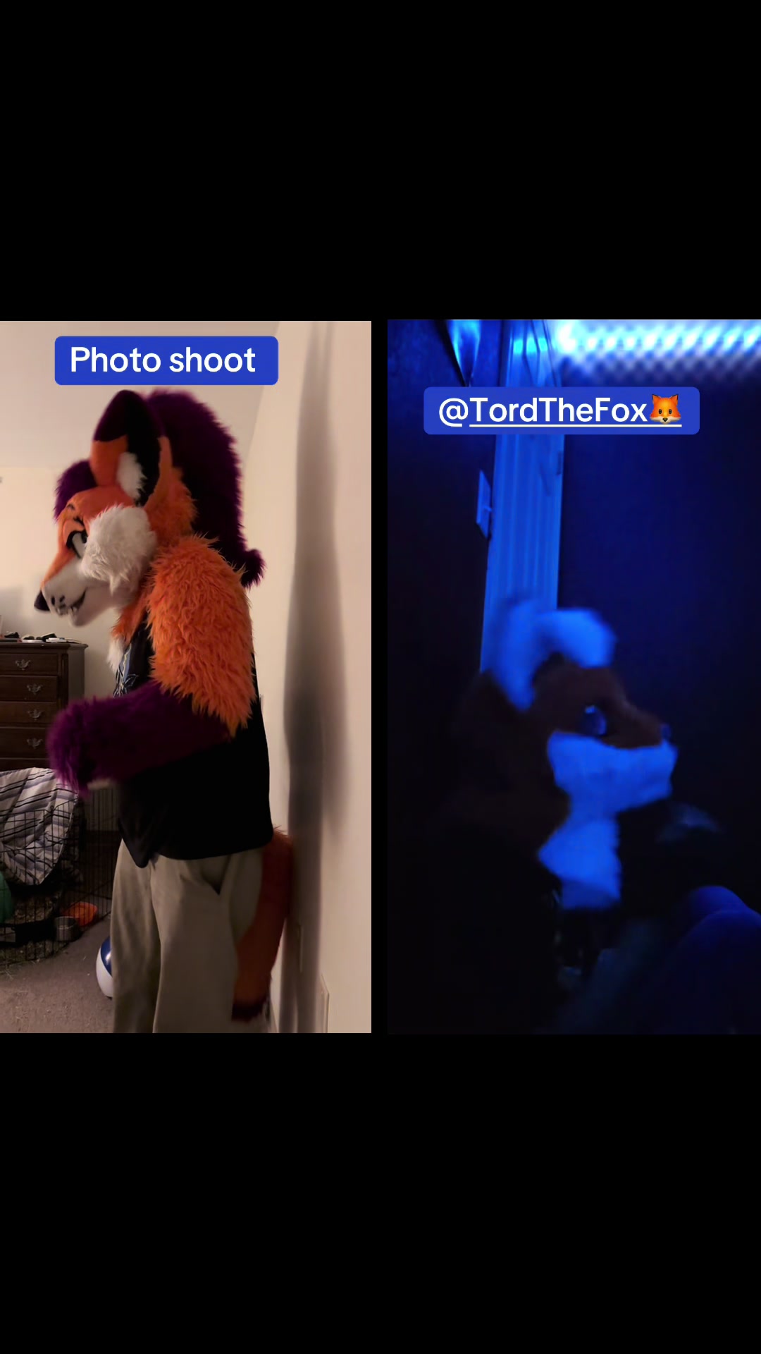 @ph0toshoot