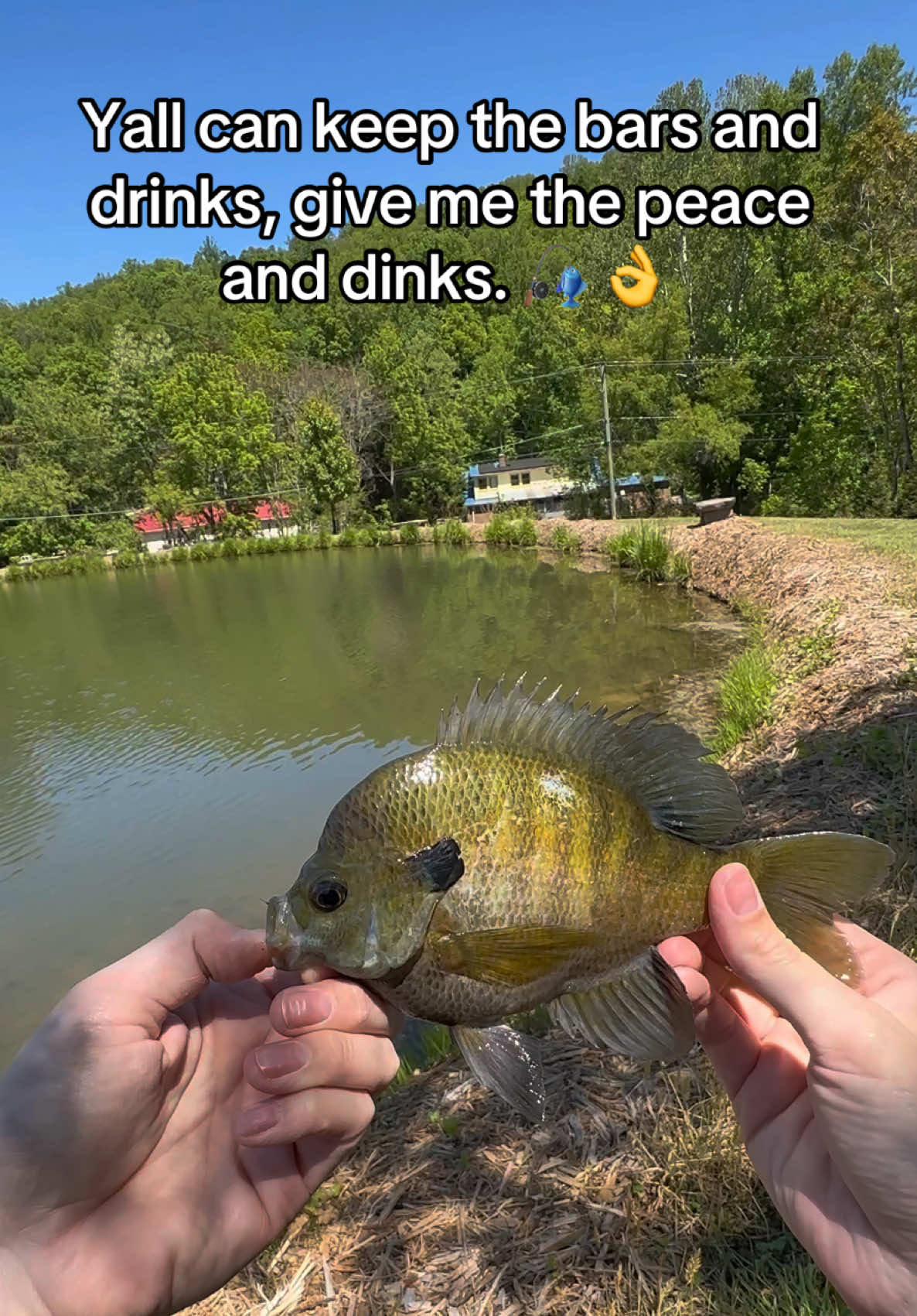 @Rod N Hand Fishing