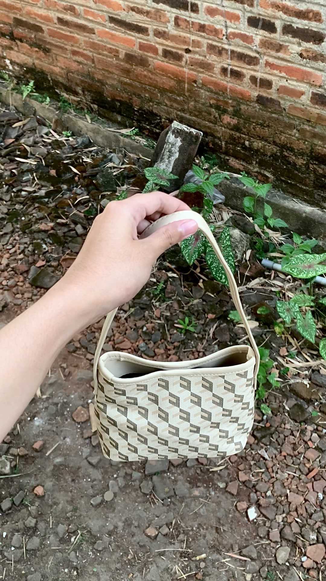 @nʚଓ