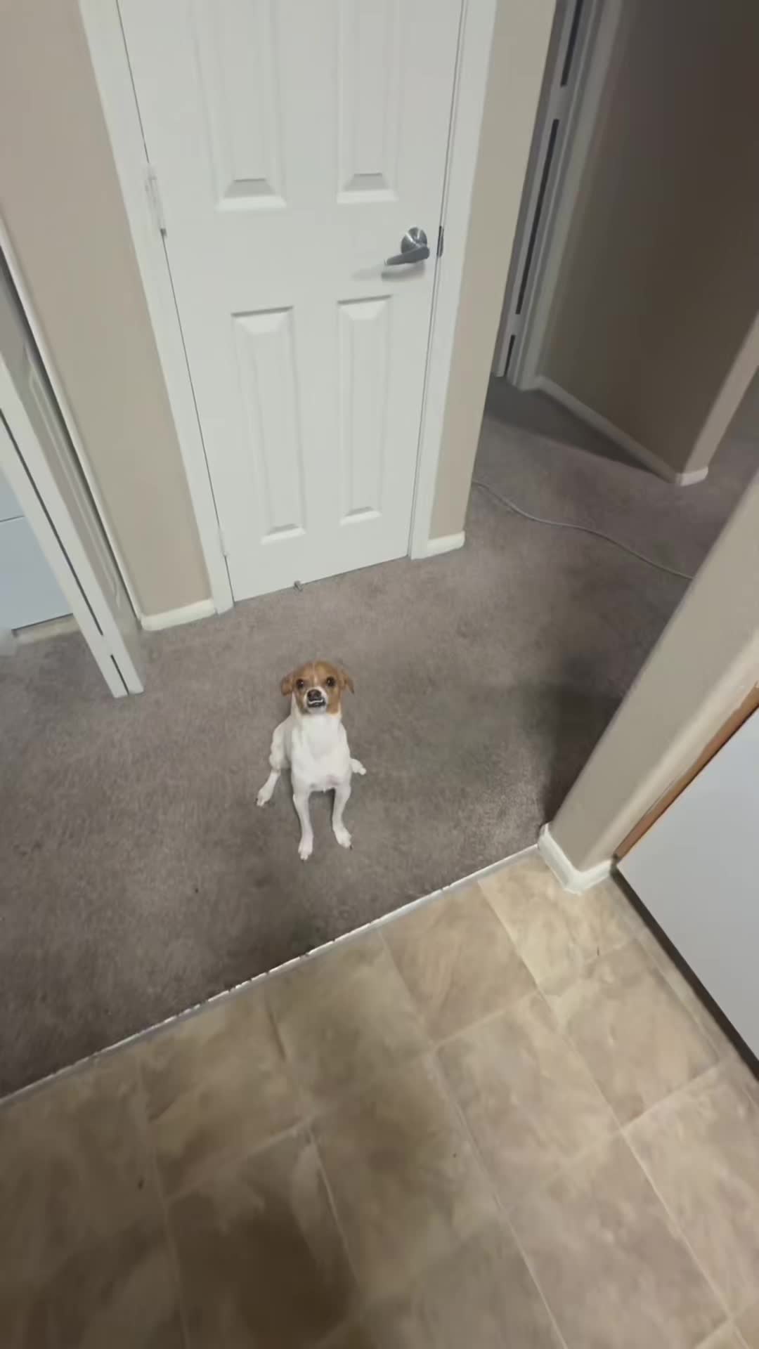 @cuteanimals472