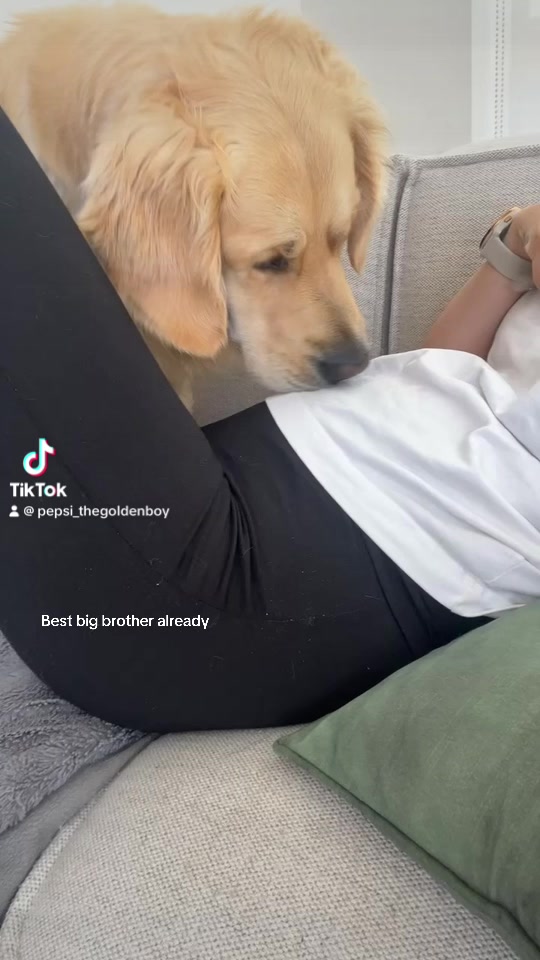 @Pepsi_thegoldenboy