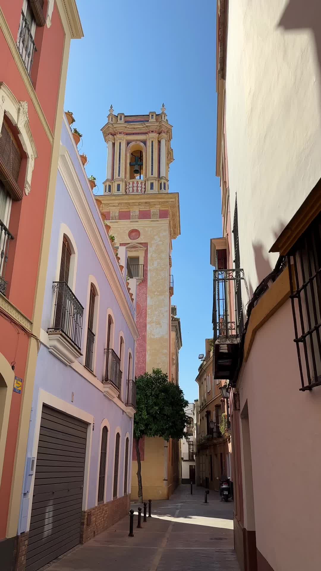 @María 🌺
