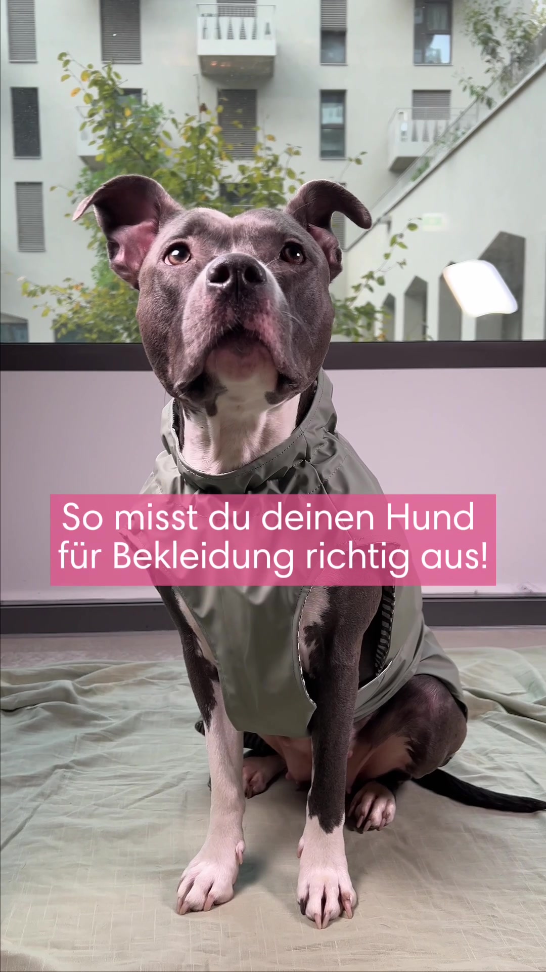 @diefutterbar