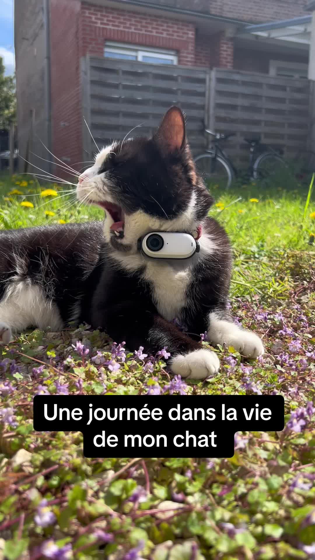 @Tigrou & Asko