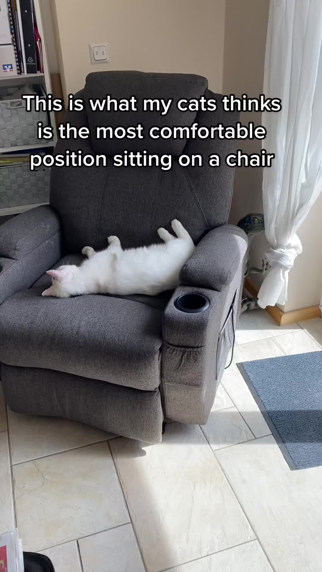@Marielethecat