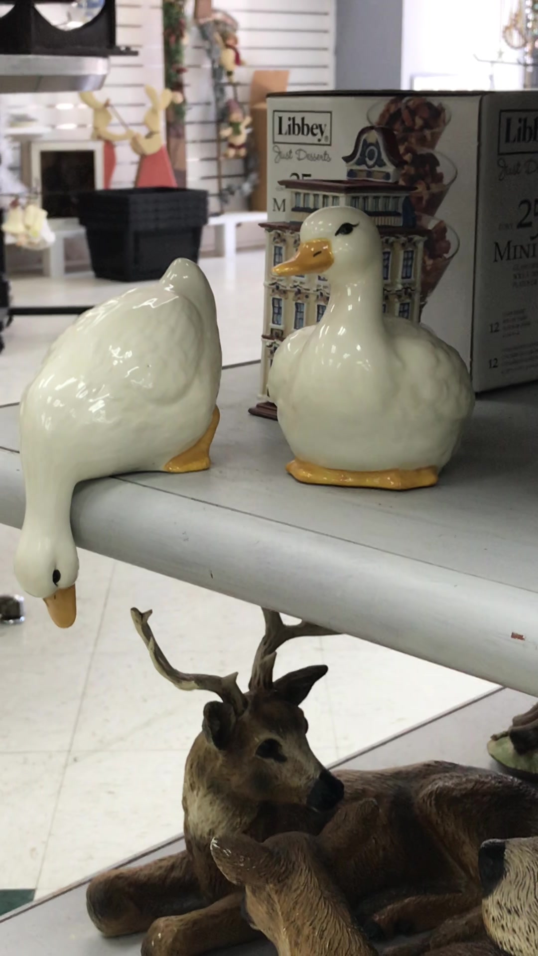 @Feline Frenzy Thrift