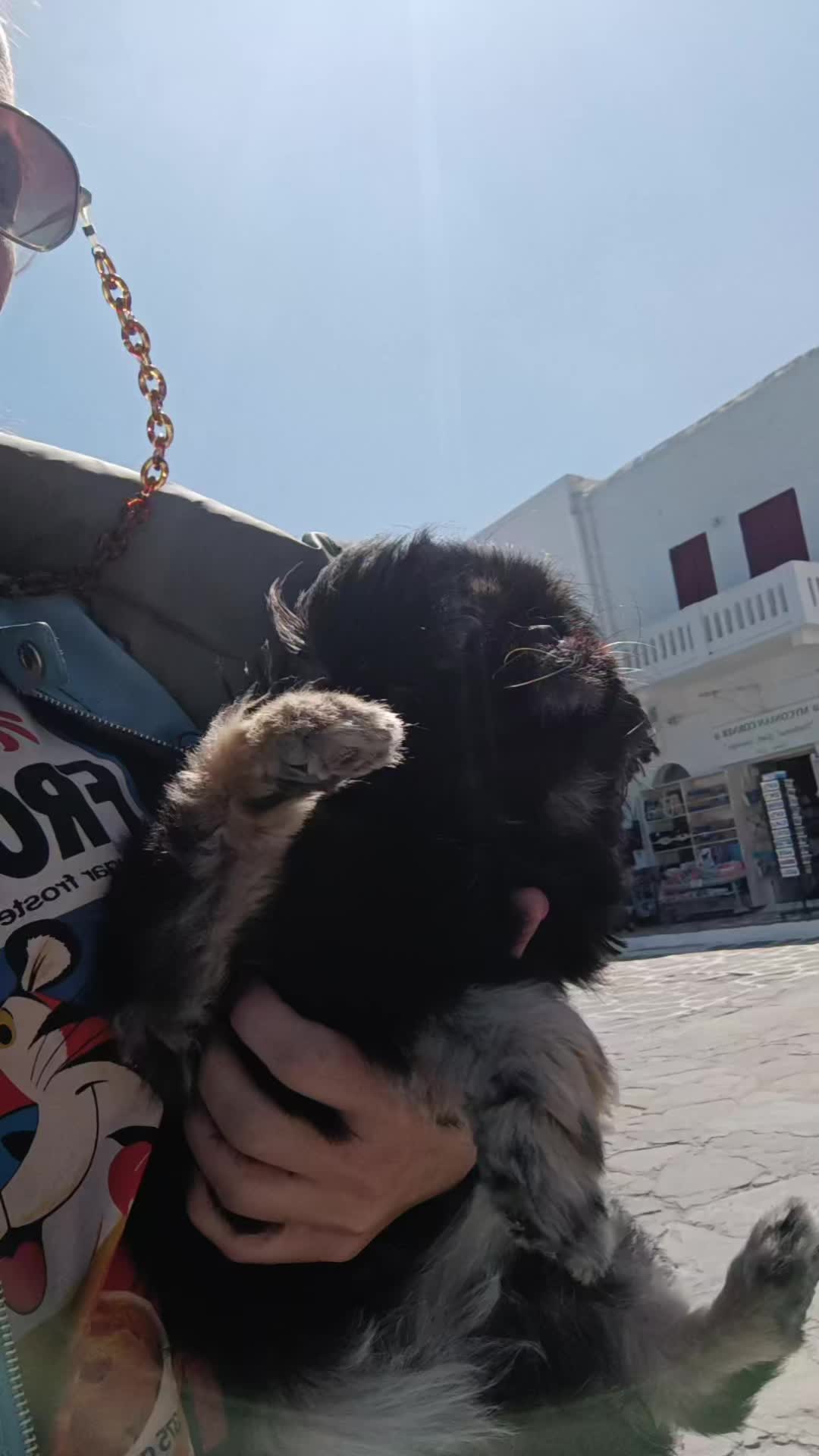 @Magky 🐶