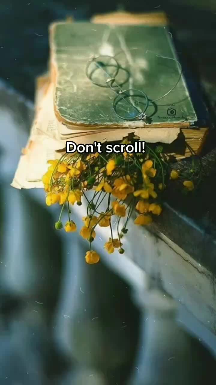 @SnowInJulyWriter💕