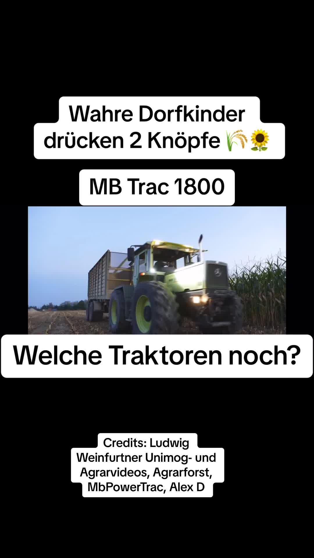 @Dorfkind