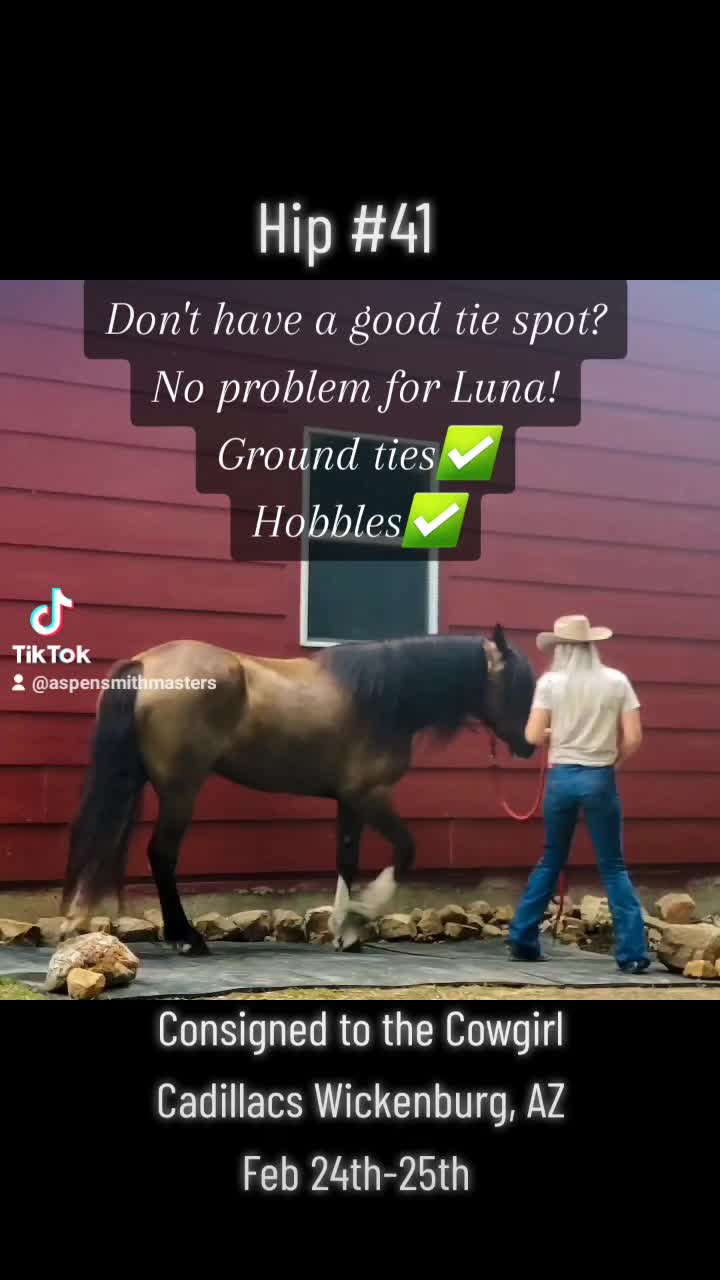 @Ozark Mountain Horses LLC
