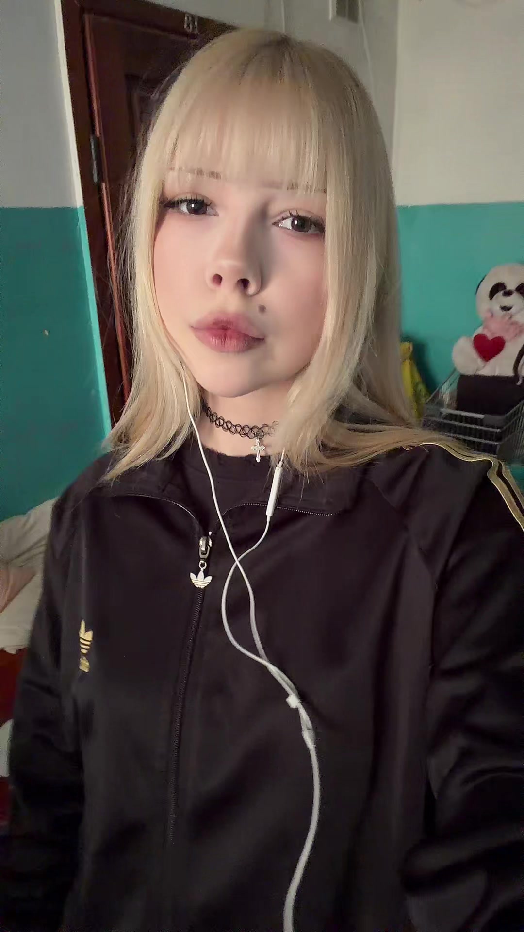 @augushaa