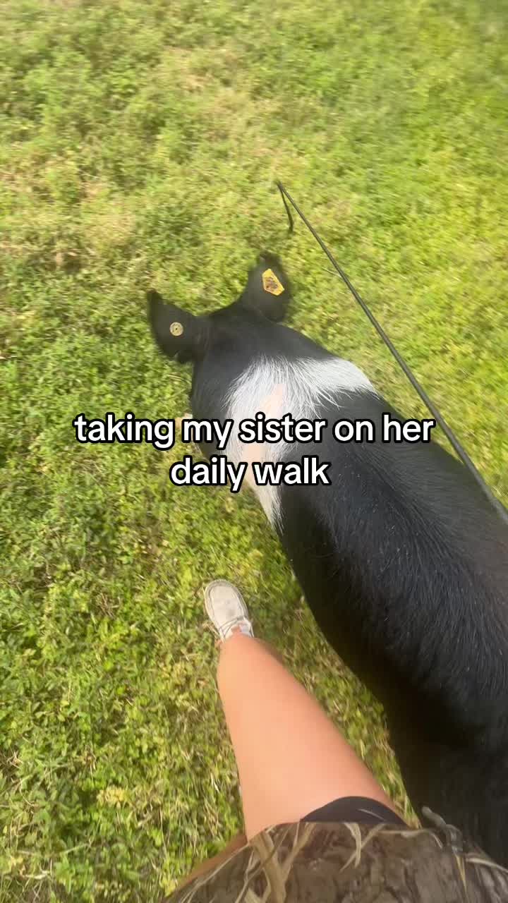 @Dixie_spam🤷♀️
