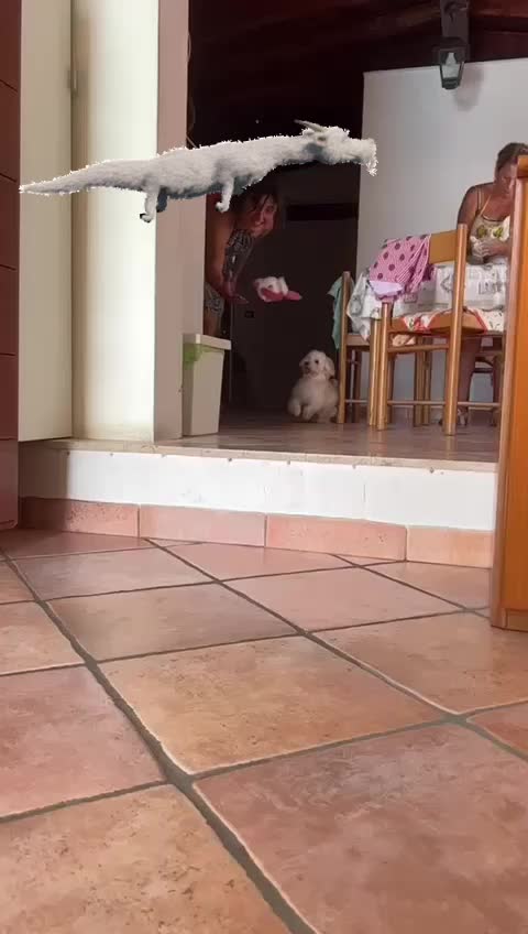 @Sghi82