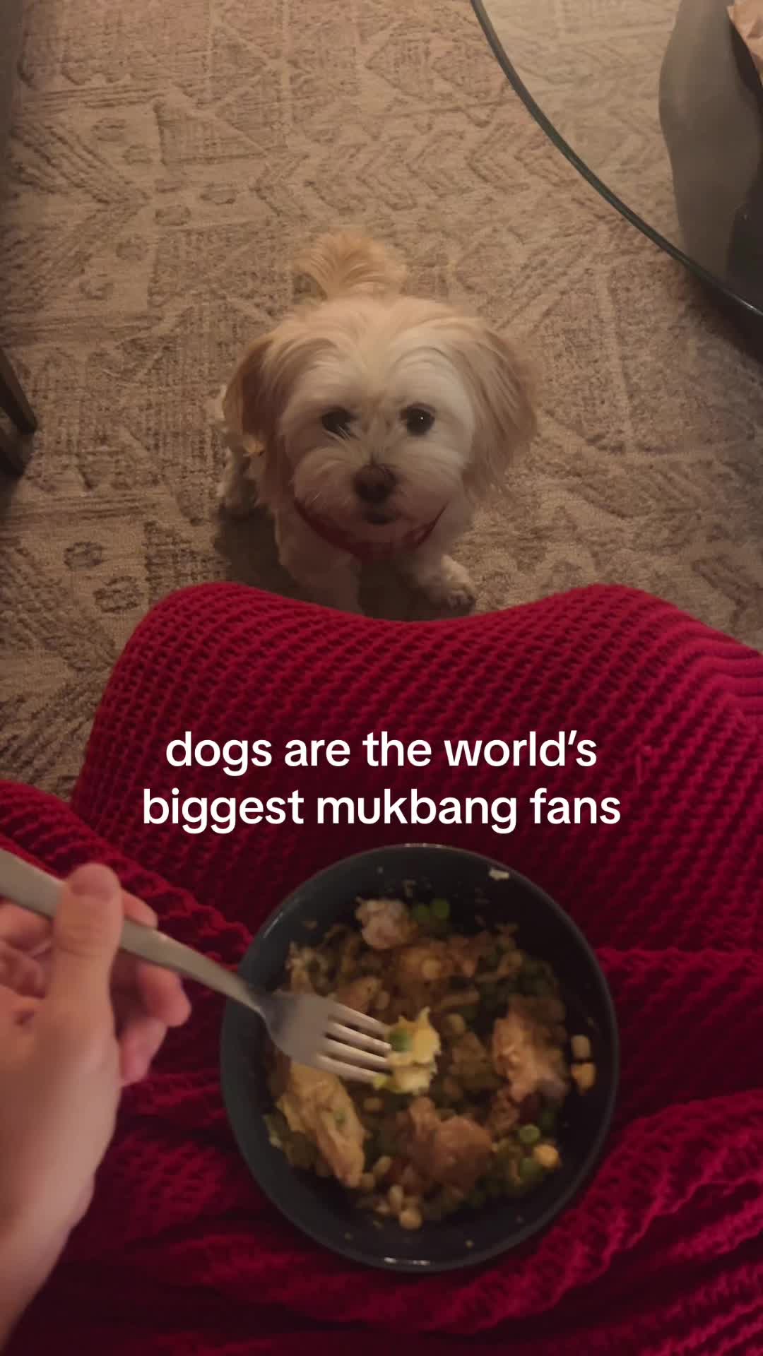 @whatever.mp4