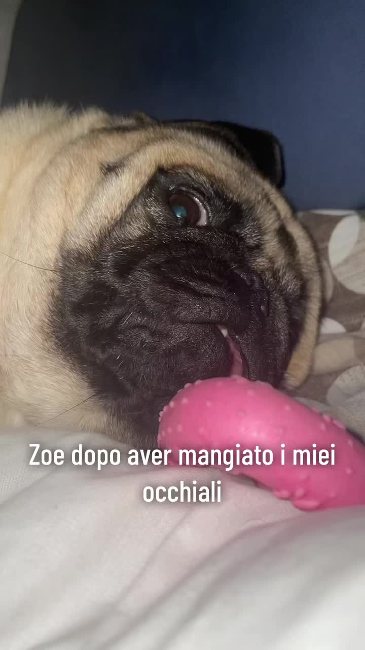 @Giorgia Pernice