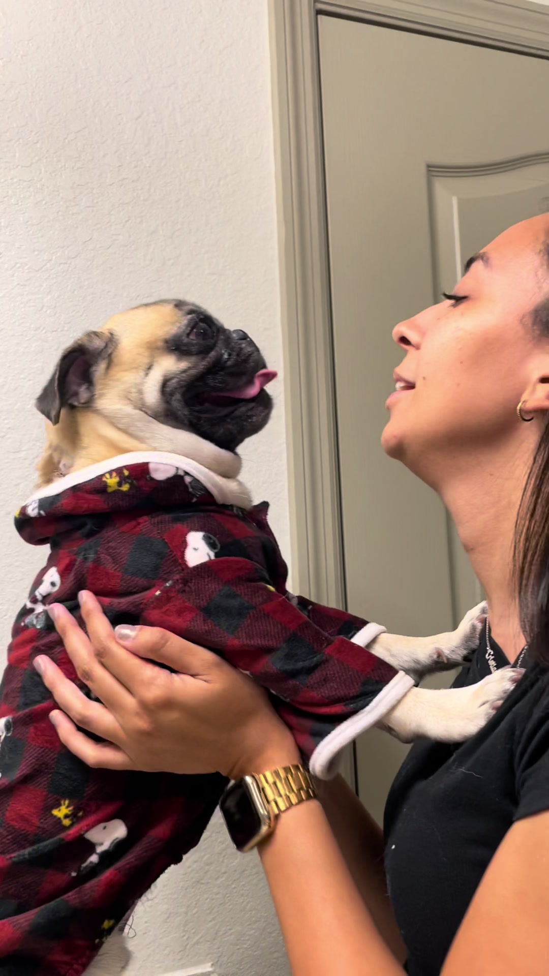 @Rigatoni the Pug