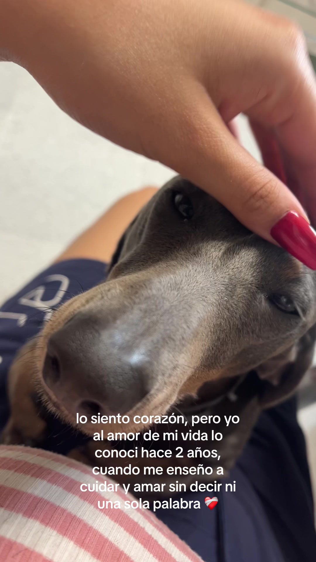 @laurafenoy_