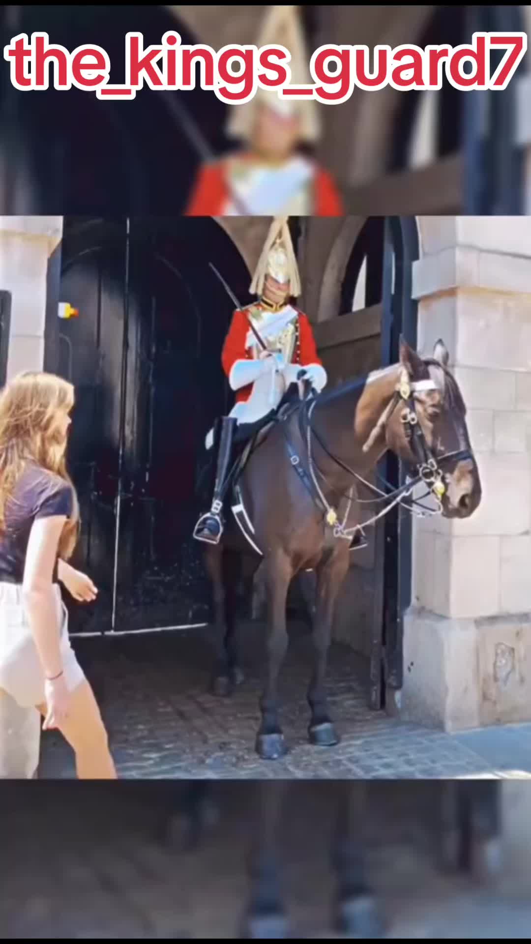 @The_Kings_Guard7