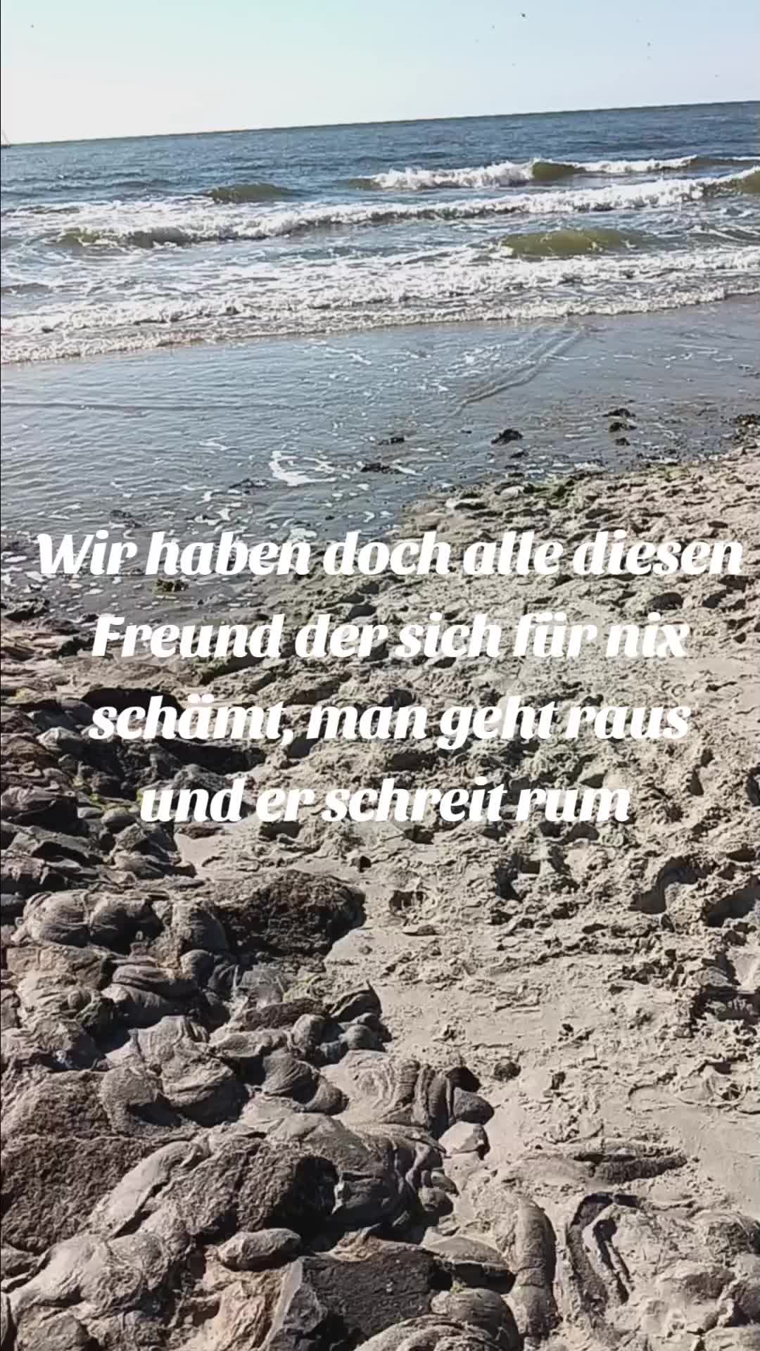 @Fragen.und.Antwort