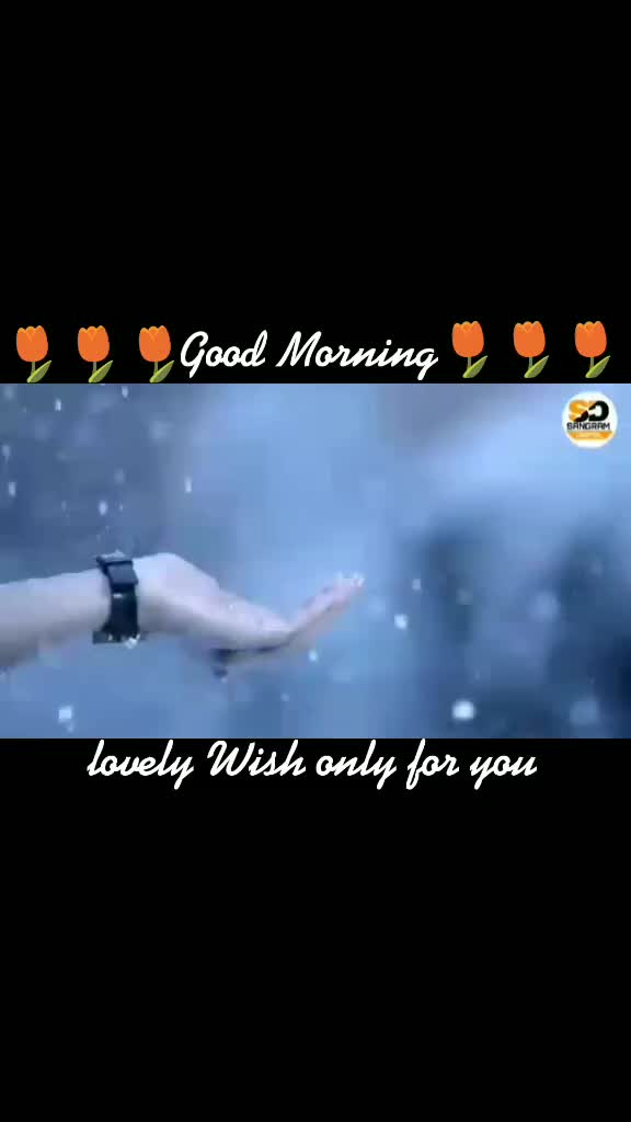 @Khirod🦋Behera