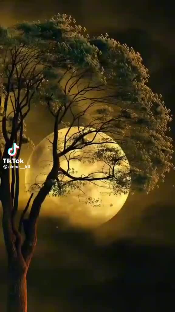 @Majhi Sushant823