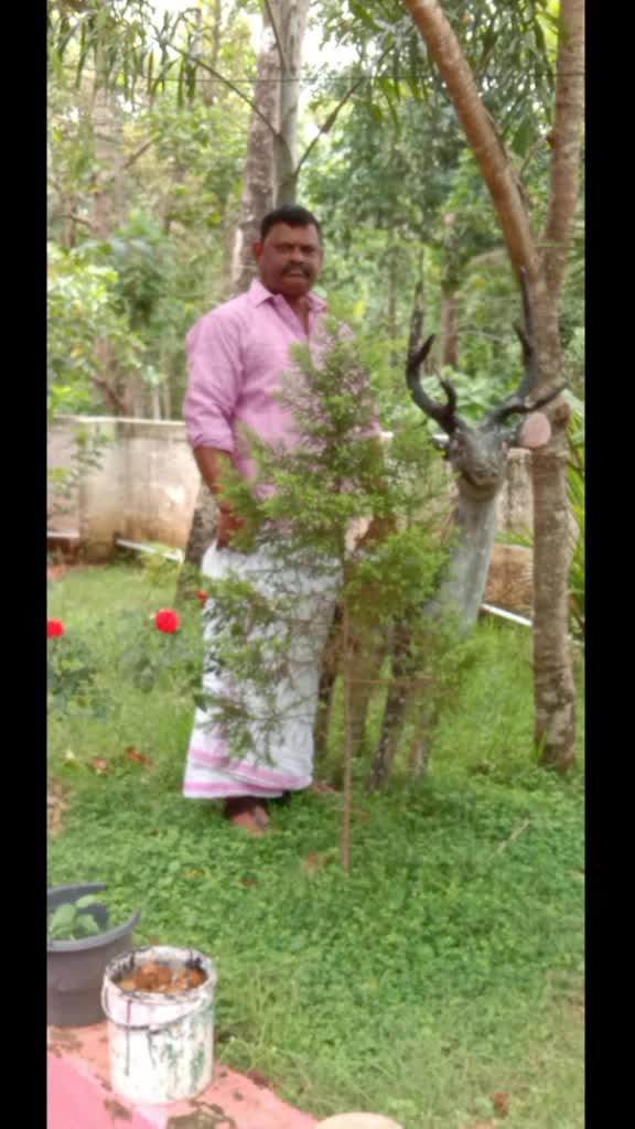 @Jijo Jose
