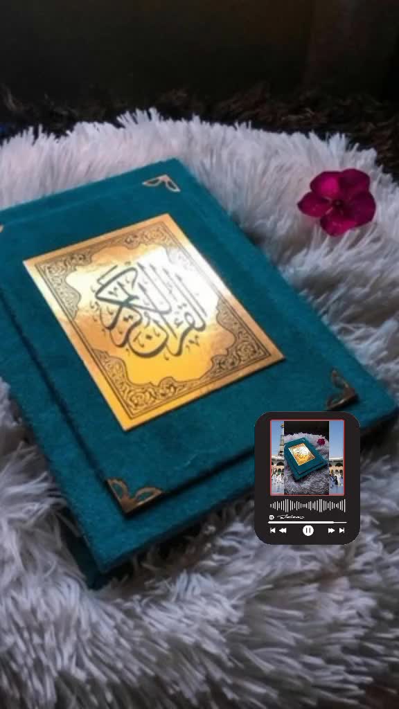 @Gulmohmmd raja