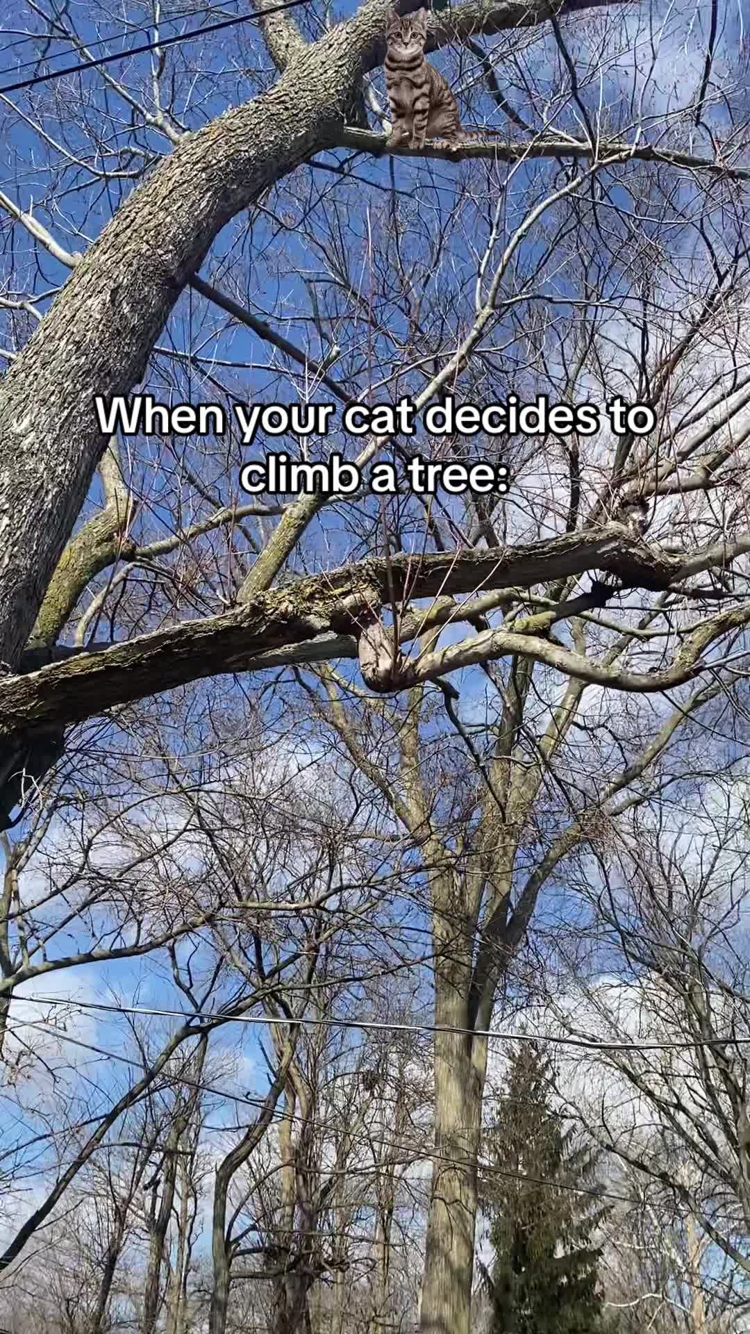 @cornballz22