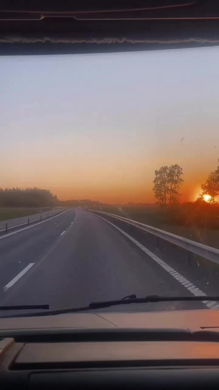 @Anneli Alvestad