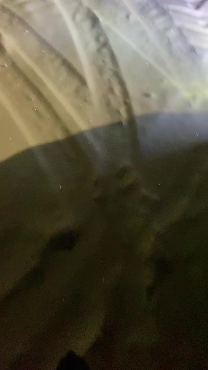 @danya_898_kot