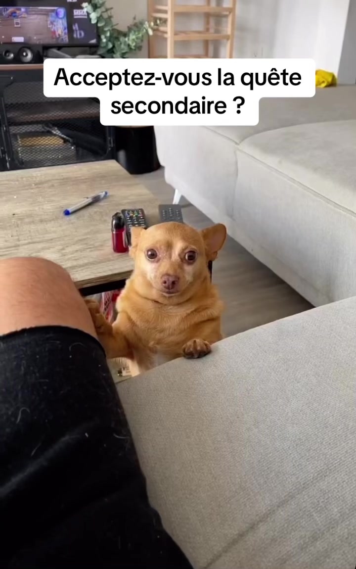 @Reask