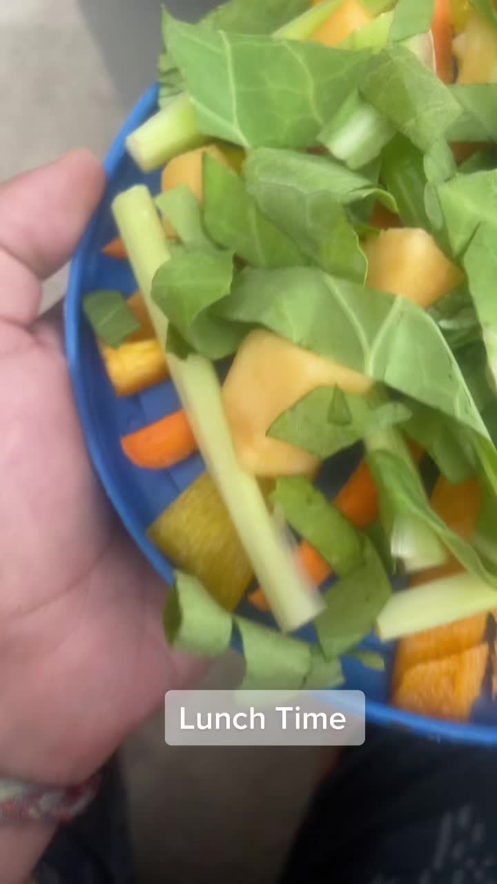 @jonmikeromeo23