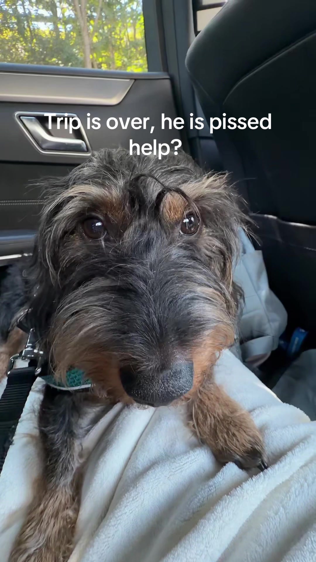 @Flrslaw