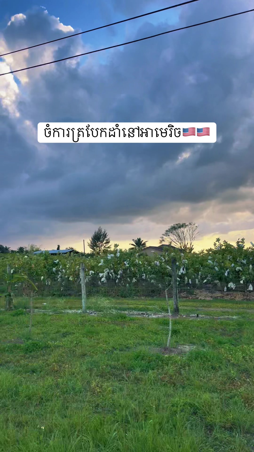 @N๐ฅ๐ฐ๐ญ๐บ๐ธ
