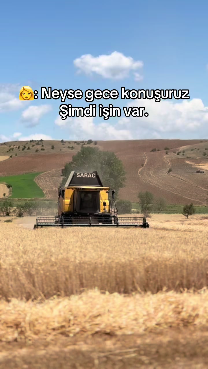 @Yiğit Şenol