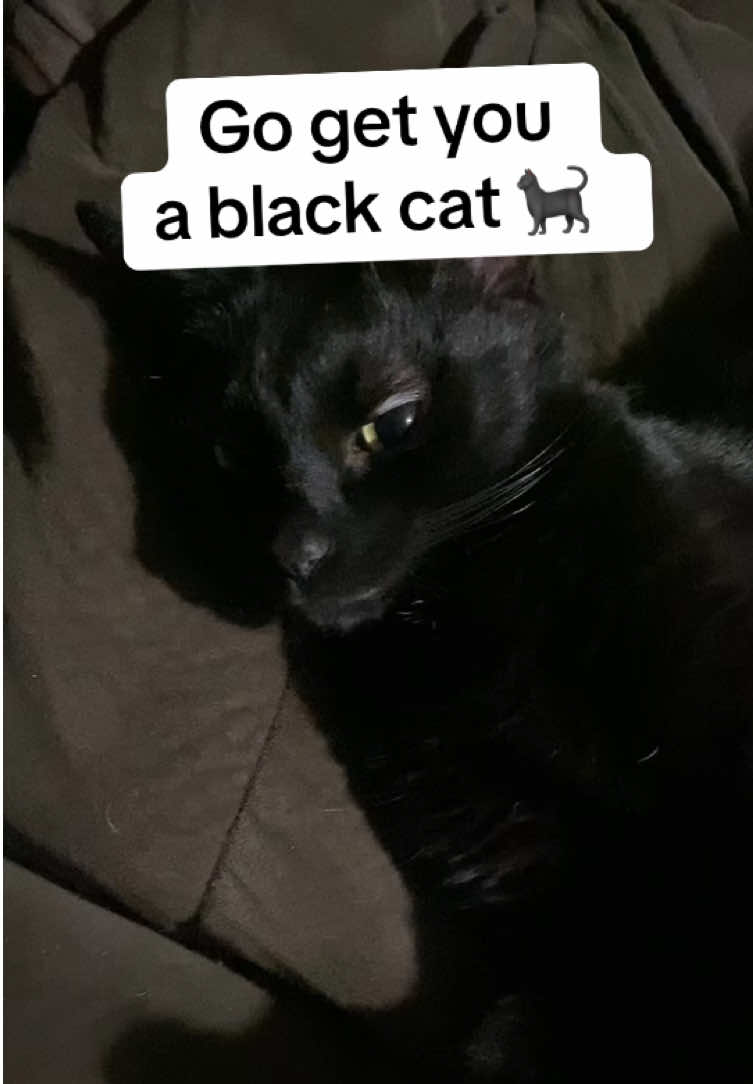 @TikTok made me do it